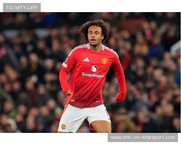 齐尔克泽或将影响战术适配性讨论走向